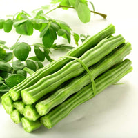 Organic Moringa Oleifera Seeds for Planting