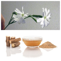 Packet of African Campion plant seeds for planting