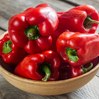 Ajito Pepper plants growing in home vegetable patch