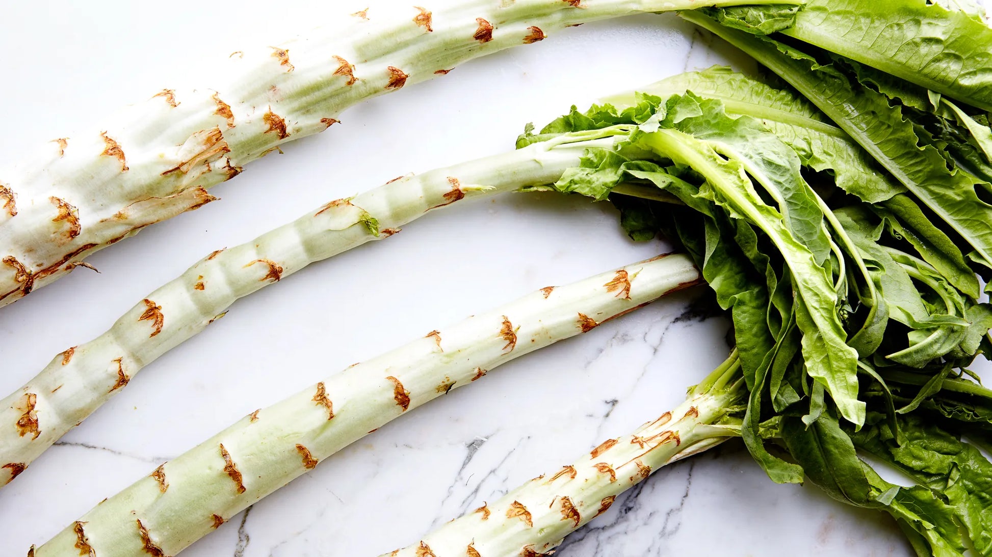 Asparagus Lettuce seeds ideal for backyard garden