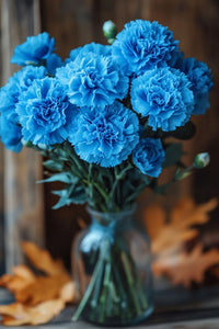Deep Blue Carnation Flower seeds for Planting Cottage Garden Essential Heirloom & GMO Free Seeds for Home Garden 
 
 Sale