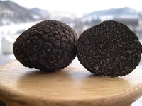 Black mushrooms growing indoors on substrate