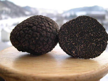 Black mushrooms growing indoors on substrate