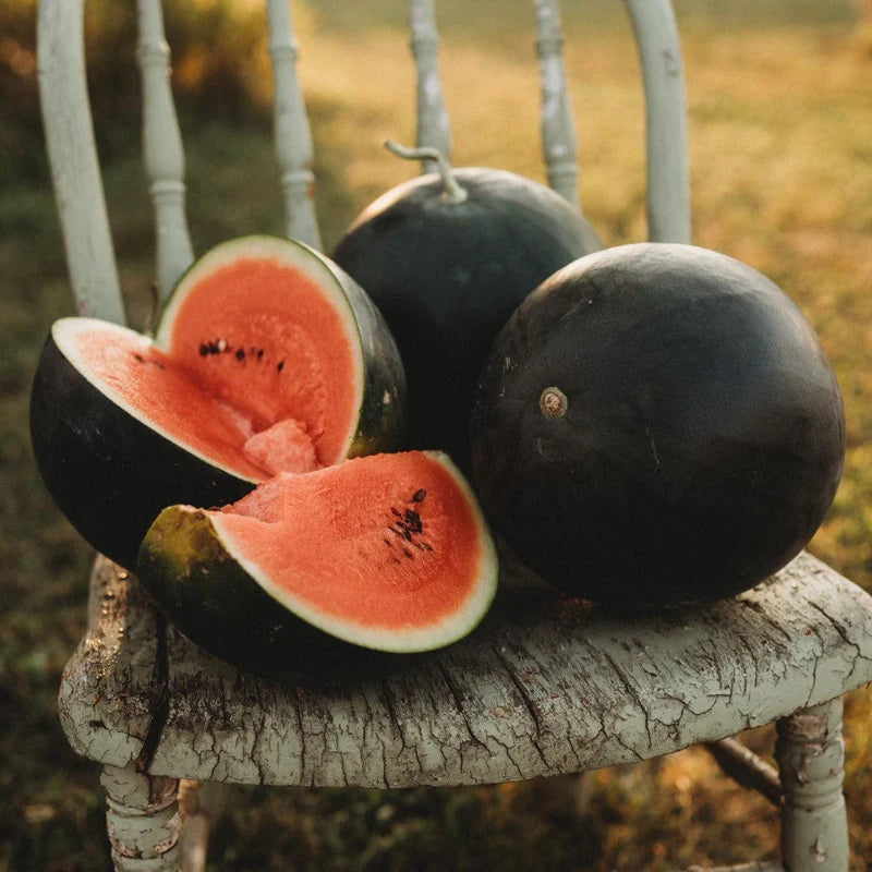 Black Watermelon Seeds for Planting - Grow Your Own Delicious Fruit