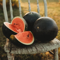 Black Watermelon Seeds for Planting - Grow Your Own Delicious Fruit