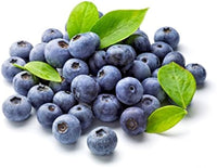 Blueberry Super Sweet seeds showing white spring flowers and green leaves