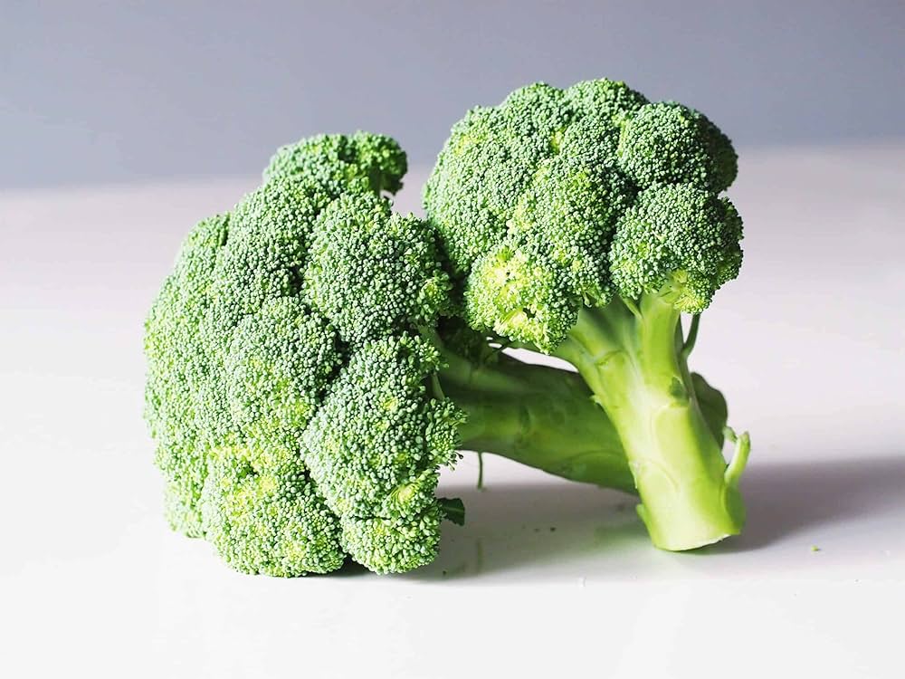 Broccoli seedlings growing in garden