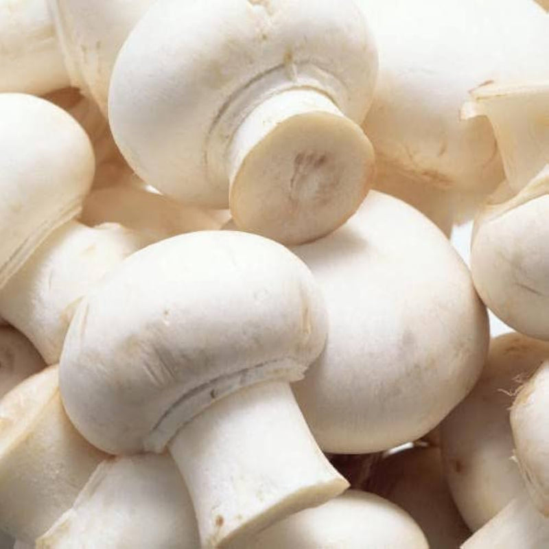 Brown mushroom seeds for planting in home gardens