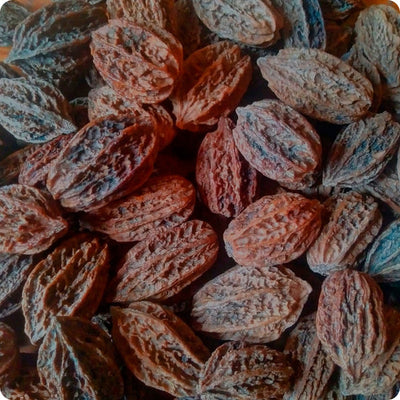 100 Pcs