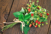California Woodland Strawberry (Fragaria vesca bracteata) seeds for planting