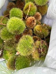 100 Pcs