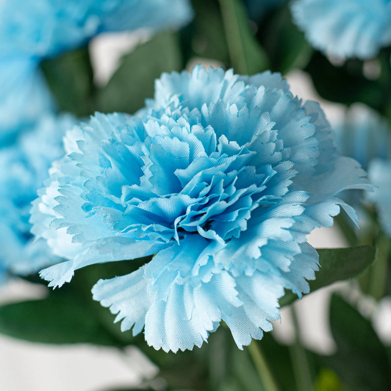 Sky Blue Carnation Flower seeds for Planting - Vibrant Colors, Heirloom & GMO Free Seeds for Home Garden