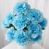Sky Blue Carnation Flower seeds for Planting - Compact Growth, Heirloom & GMO Free Seeds for Home Garden