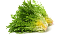 Fresh crisp endive leafy greens seeds