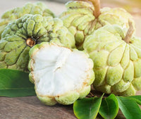 Custard Apple Seeds for Home Garden Planting  Sweet Tropical Fruit