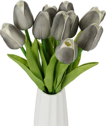 Dark Gray Tulip Flower Seeds for Planting