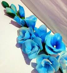 Sky Blue Gladiolus Flower Seeds for Planting Fragrant Blossoms Heirloom & GMO Free Seeds for Home Garden
 
 Sale