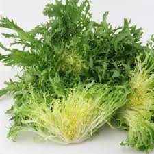 FrisÃ©e Endive Seeds: Planting Guide for Successful Growth