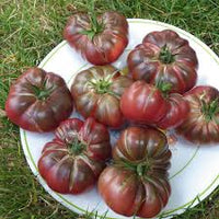 Marron Tomato Seeds for Planting - Premium Vegetable Seeds