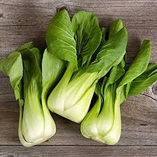 Bok Choy Seeds for Planting | Easy Growing Guide for Healthy Harvests
