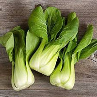 Bok Choy Seeds for Planting | Easy Growing Guide for Healthy Harvests
