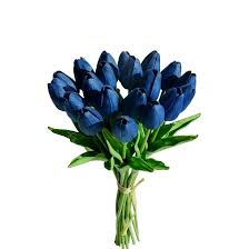 Deep Blue Tulip Flower Seeds for Planting – Heirloom NonGMO Organic Garden Seeds – Shade Tolerant High Germination
 
 Sale