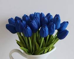 Deep Blue Tulip Flower Seeds for Planting – Heirloom NonGMO Organic Garden Seeds – Shade Tolerant High Germination
 
 Sale