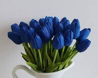 Deep Blue Tulip Flower Seeds for Planting – Heirloom NonGMO Organic Garden Seeds – Shade Tolerant High Germination
 
 Sale