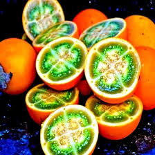 Orange Naranjilla Lulo Seeds for Planting  Grow Exotic Tropical Fruit at Home