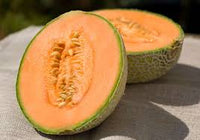 Plant Cantaloupe Melon Seeds for a Flavorful Light Orange Harvest