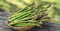 Green Asparagus Vegetable Seeds for Home Planting