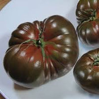 Brown Giant Tomato Seeds for Planting