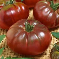Marron Tomato Seeds for Planting - Premium Vegetable Seeds