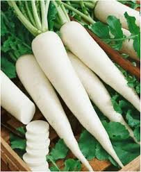 Radish Seeds for Planting  Grow Your Own Vegetables