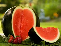 Sugar Baby Watermelon (Citrullus lanatus) Fruit Melon Seeds