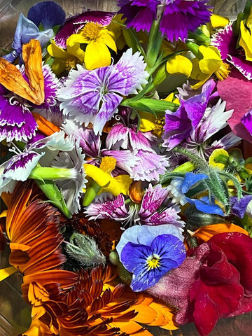 Premium Edible Flower Seed Pack for Colorful Gardens