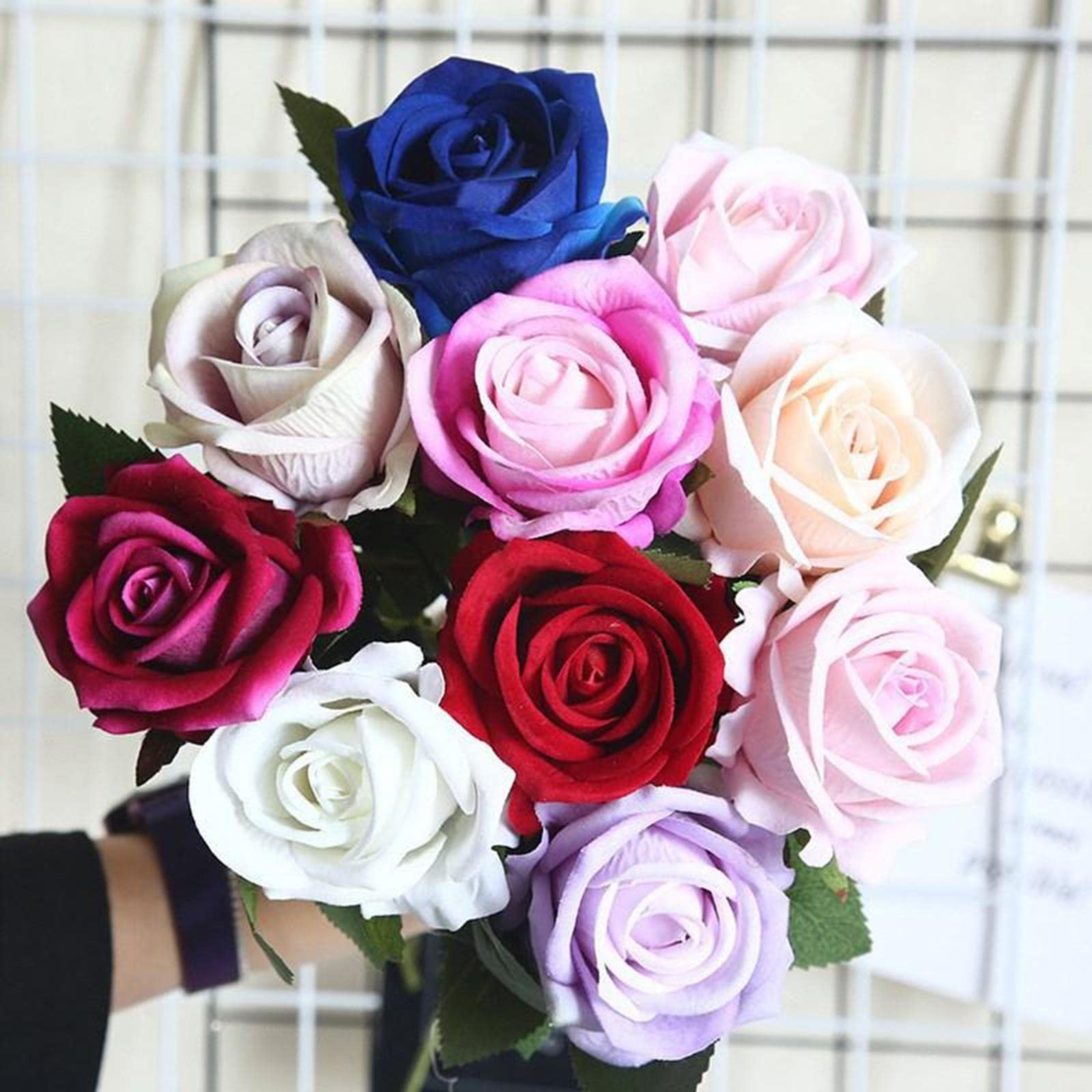 Elegant Rose Flower Seeds for Garden Planting
