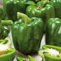 Emerald Giant Pepper seeds for home garden planting