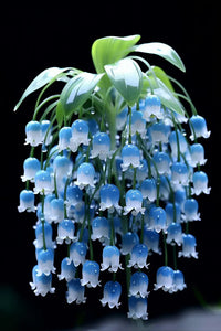 Violet Bell Orchid Flower Seeds for Planting