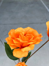 Eustoma Flower Seeds for Planting - Vibrant Orange Blooms for a Beautiful Garden