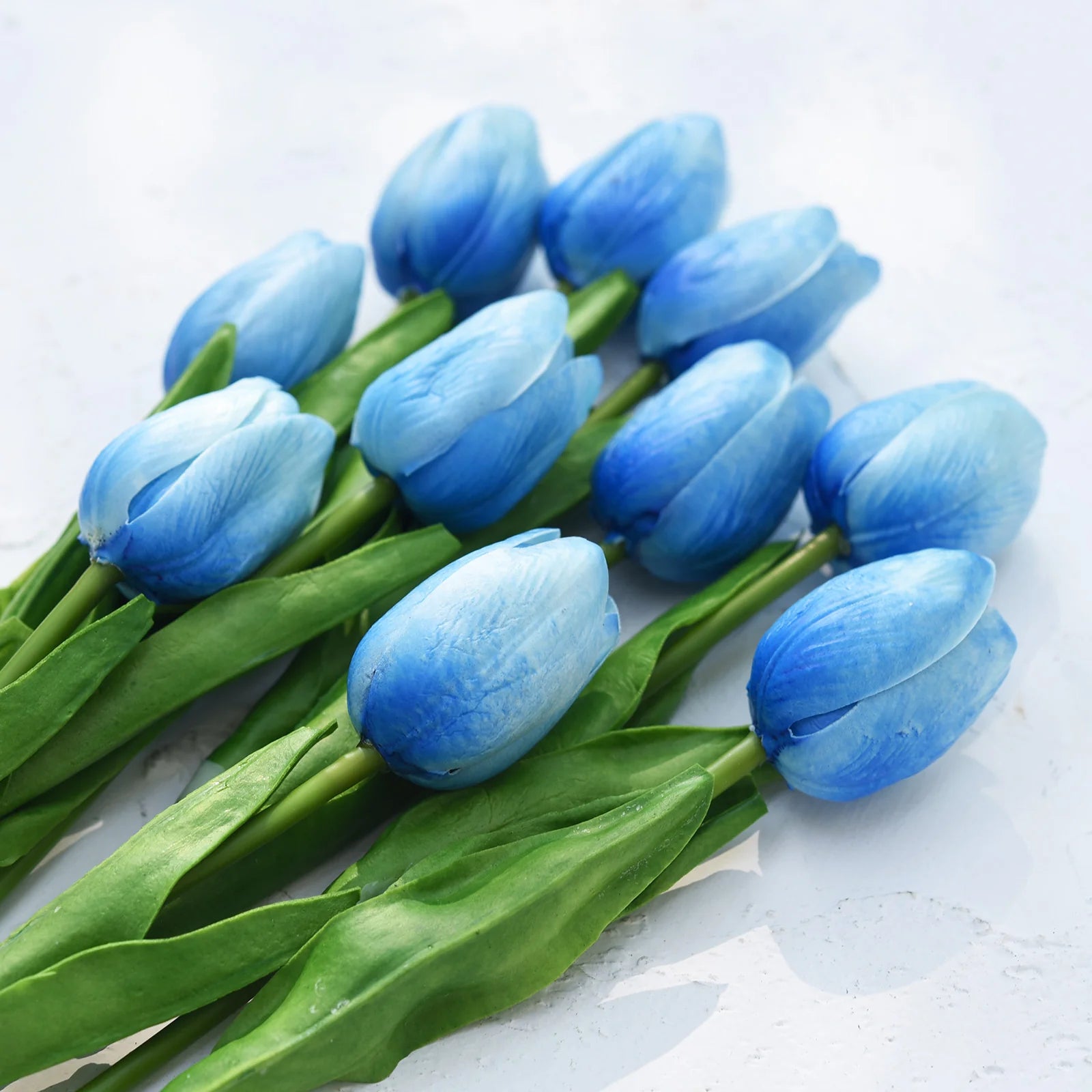 Tulip Flower Seeds Sky Blue Flower seeds for Planting - Cut Flower Favorite, Heirloom & GMO Free Seeds for Home Garden