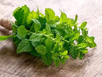 Close-up of fresh green mint leaves