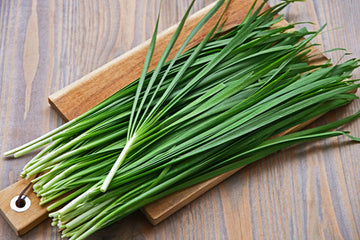 Garlic Chive seeds Allium tuberosum