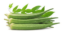 Giant okra seeds for home garden and urban gardening