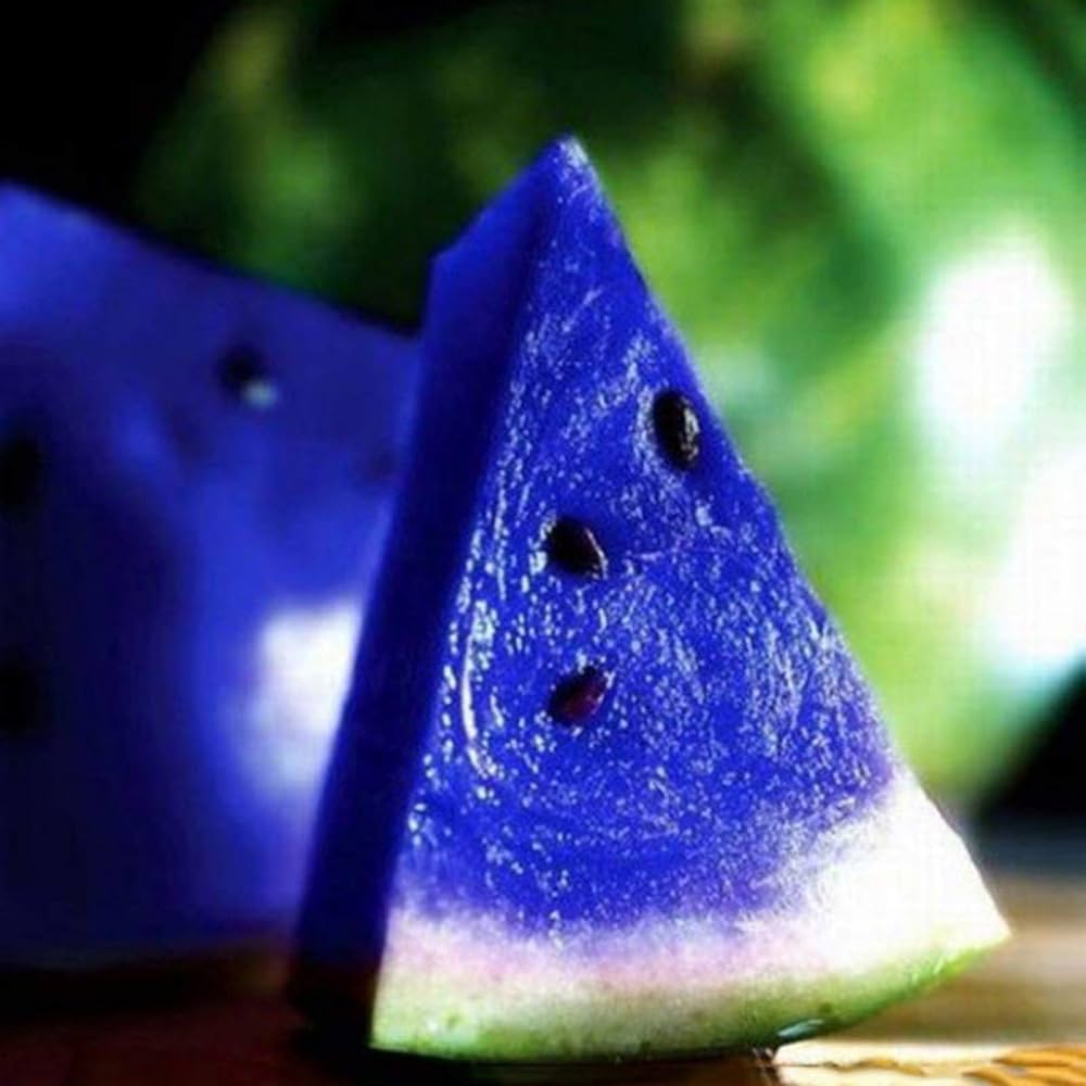 Organic giant watermelon plants grown from seeds in garden