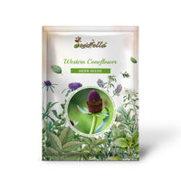 Close-Up of Green Wizard Western Coneflower with Rayless Black Center