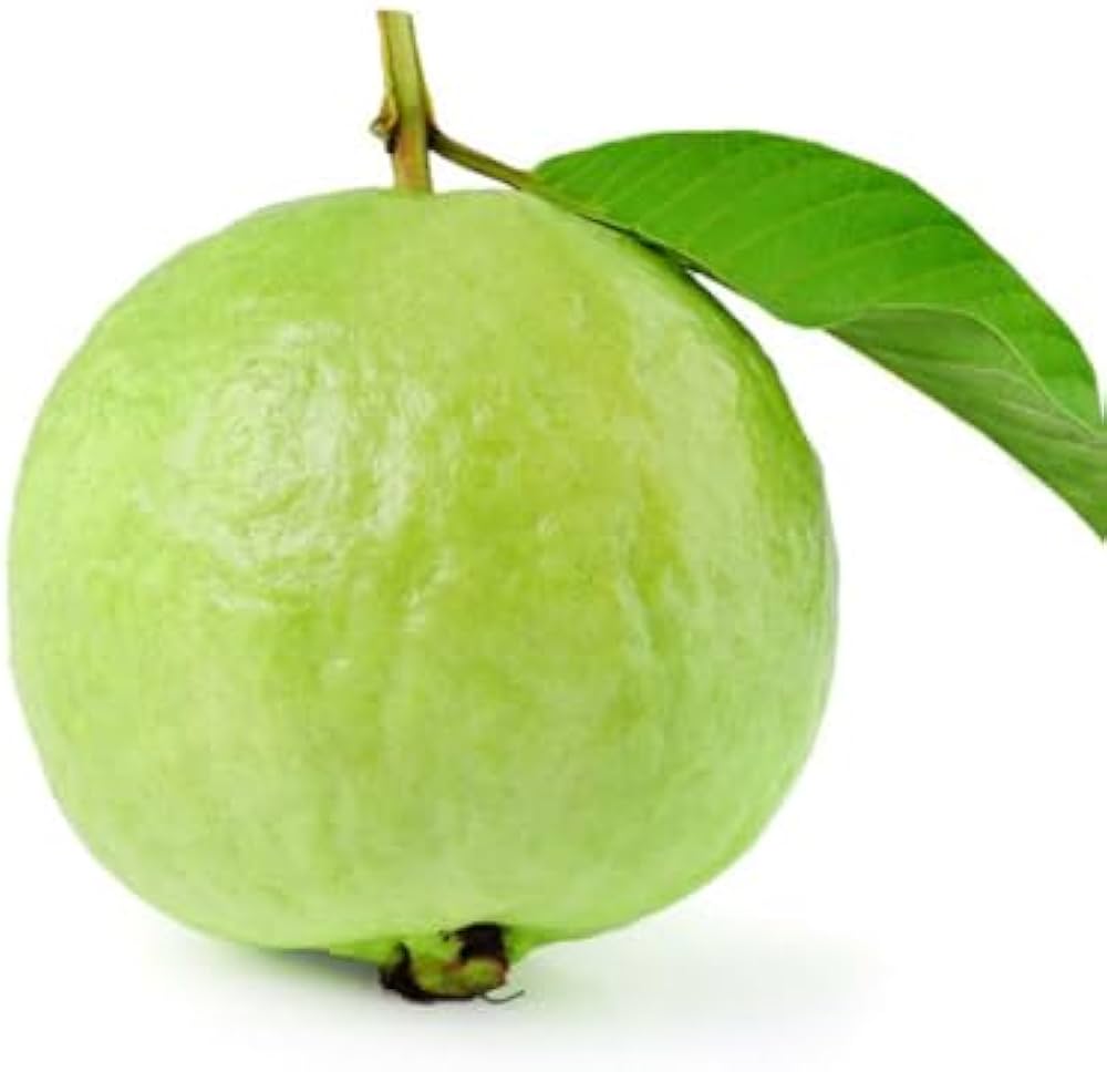 Guava seeds for planting Psidium guajava