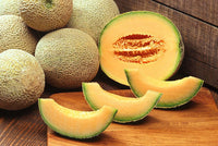 Hale’s Best Jumbo Cantaloupe Seeds – Cucumis melo Non-GMO Muskmelon