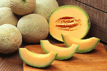 Hale’s Best Jumbo Cantaloupe Seeds – Cucumis melo Non-GMO Muskmelon