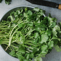 Close-up of fresh cilantro leaves for culinary use
